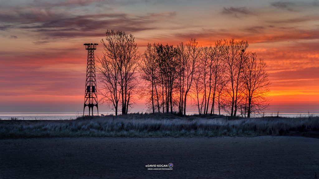 Chicago Sunrise Trees