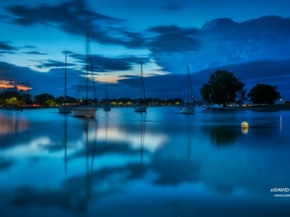 Blue Harbor - Montrose Chicago