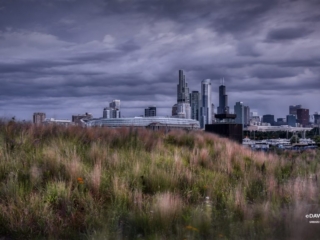 Chicago Skyline from Northerly Island
