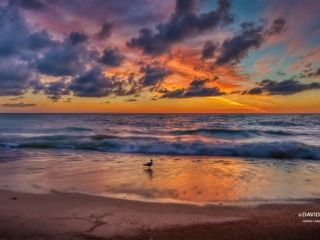 Sunrise Segull Chicago