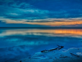 Reflections in Blue