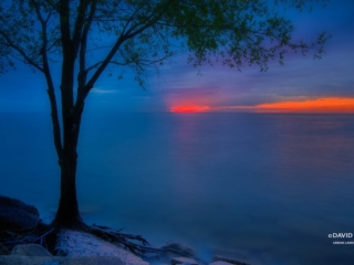 A Red Line in the Fog at Hartigan Beach Chicago