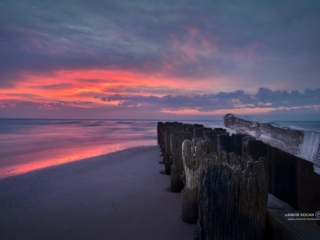 Chicago Magenta Sunrise