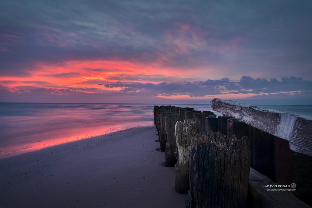 Chicago Magenta Sunrise