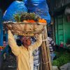 Flower Market Kolkata #3