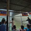 Ferry Across Hooghly River