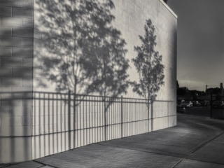 Shadows on the Wall