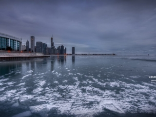 Shedd Winter
