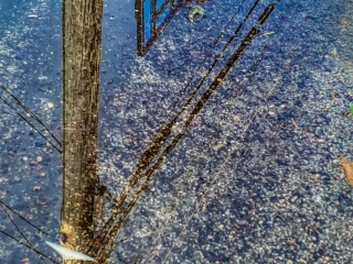 Hoops Puddle