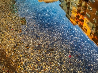 Rain Puddle Building