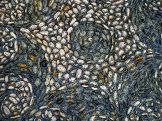 Star Pebbles