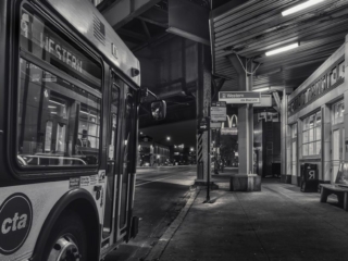 Armitage Brown Line