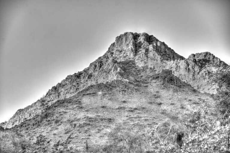 Phoenix Mountain Preserve.