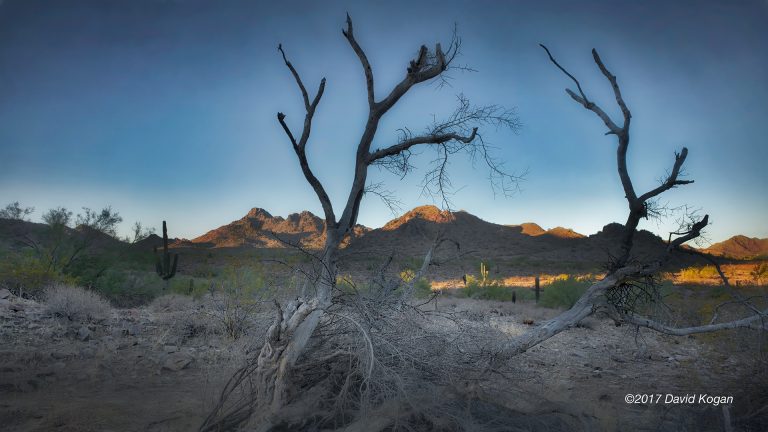 Phoenix Mountain Preserve